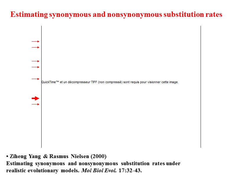 • Ziheng Yang & Rasmus Nielsen (2000) Estimating synonymous and nonsynonymous substitution rates under